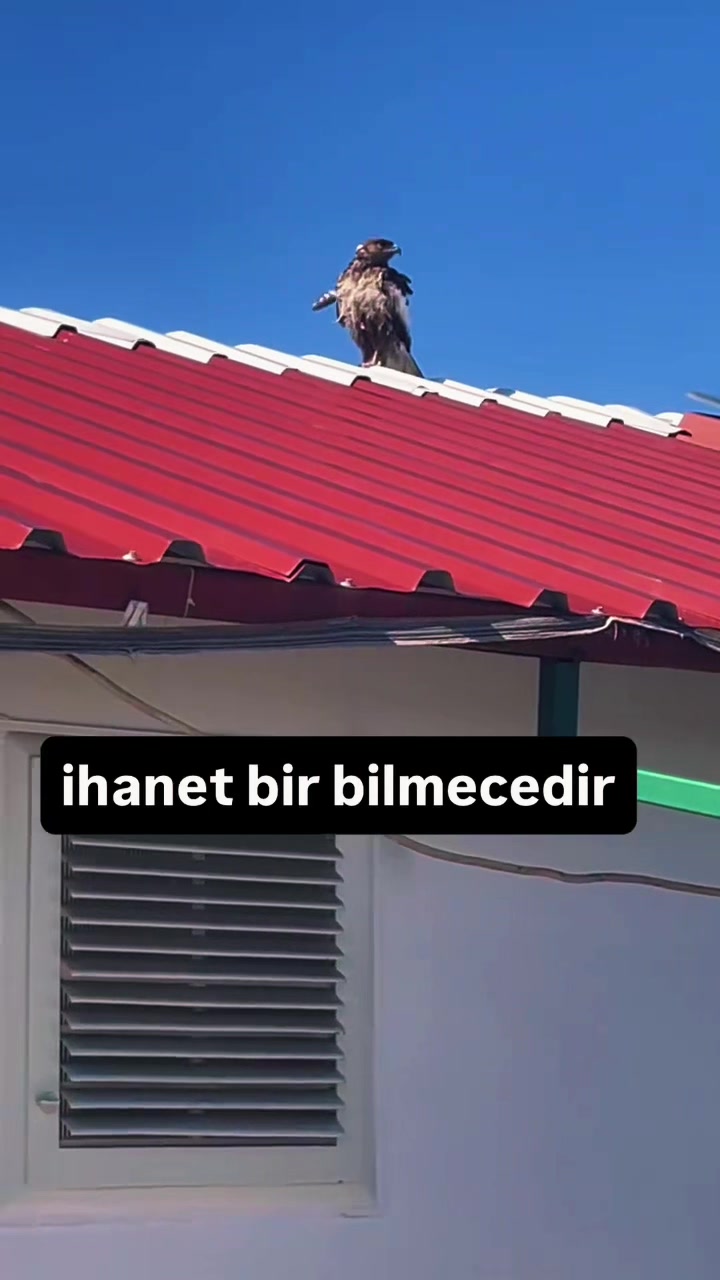 @šš¢š„šš§ šš§šš® šš