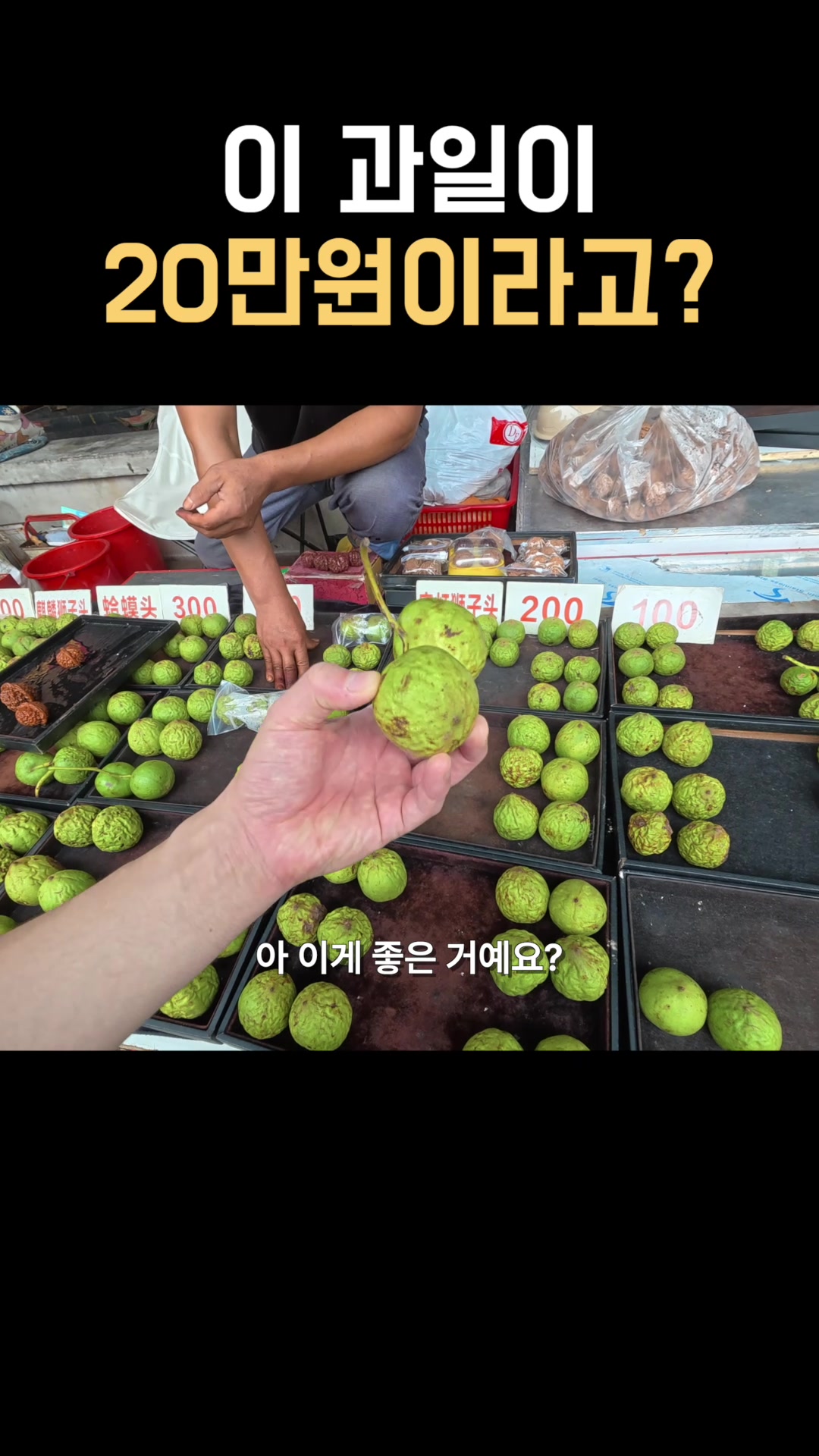 @쭝궈아재