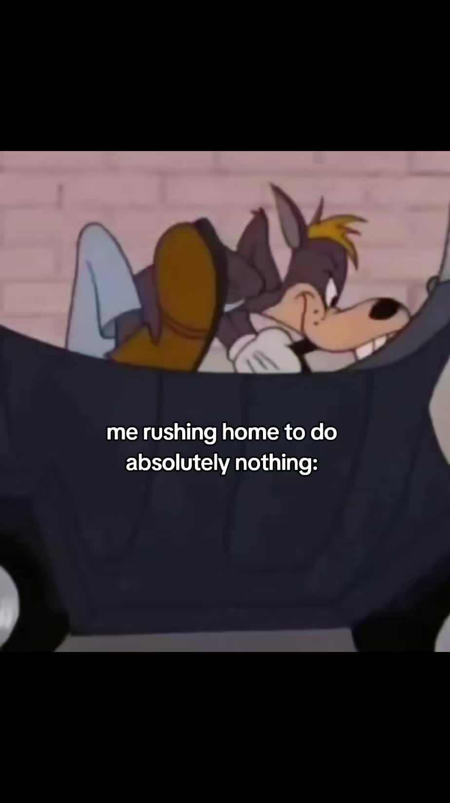 @MoistGranny🦇