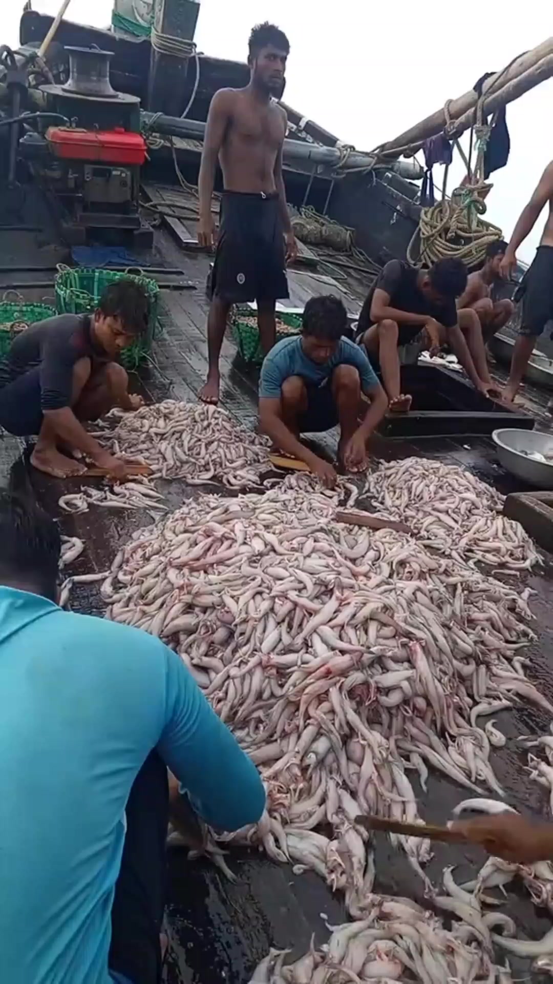 @জাকের