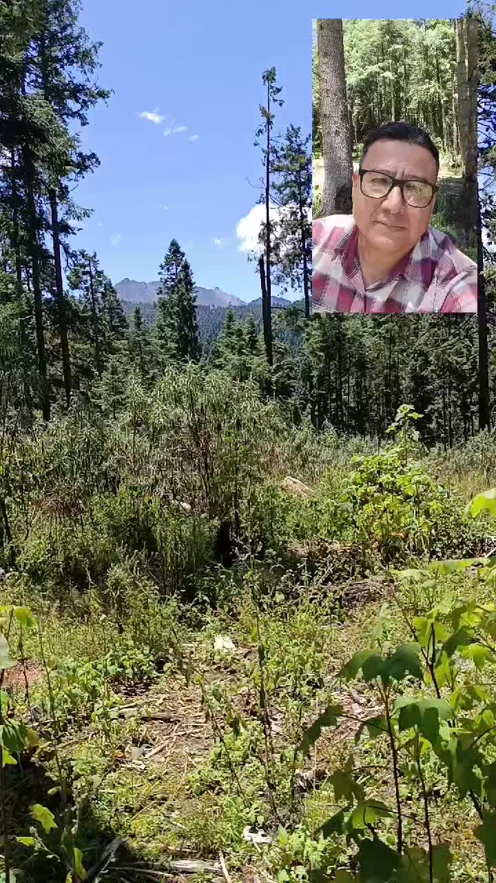 @Don Xavi Seguro te ayuda