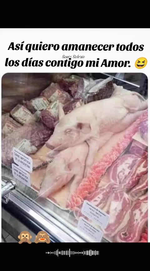 @Sonia ❤️