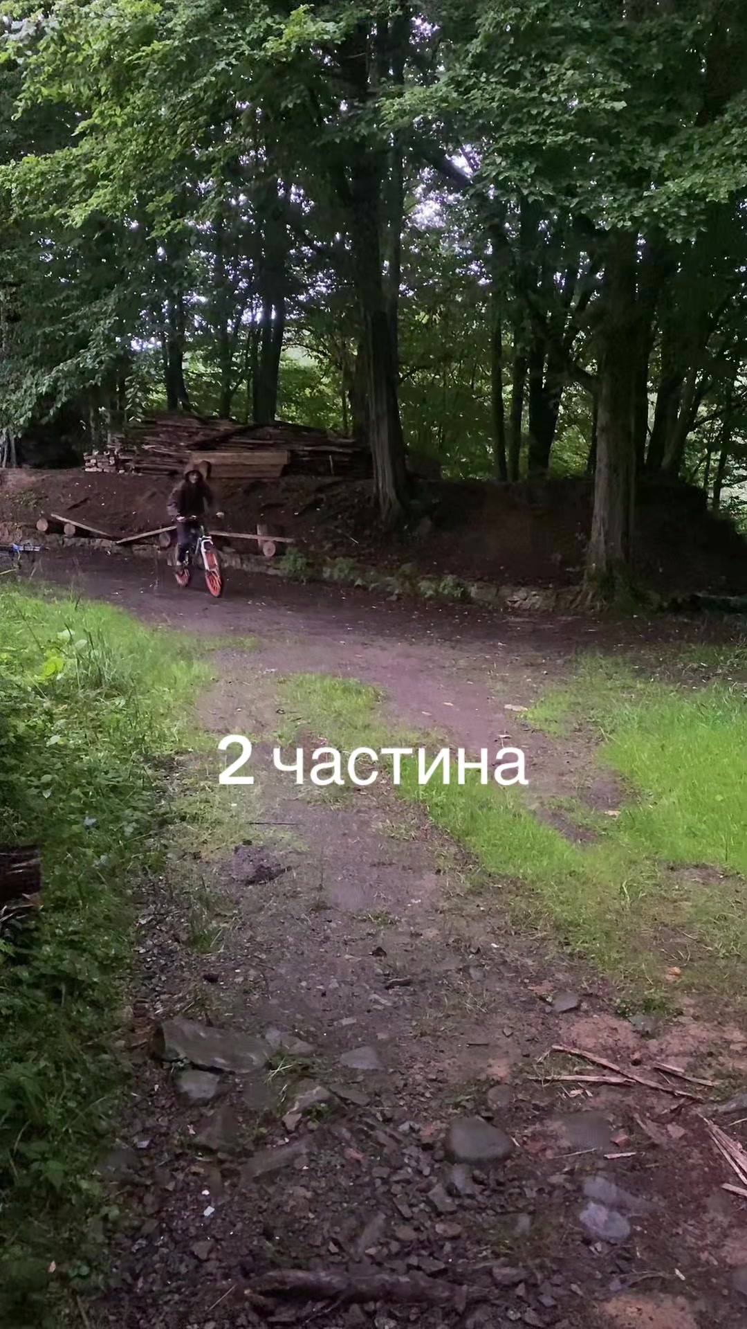 @PROVITALIK