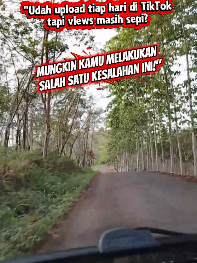 @Kang Asep Petir || Mentor SC