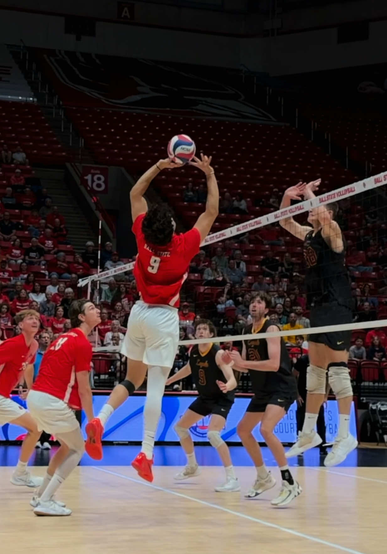 @Vballnoryb Volleyball Media
