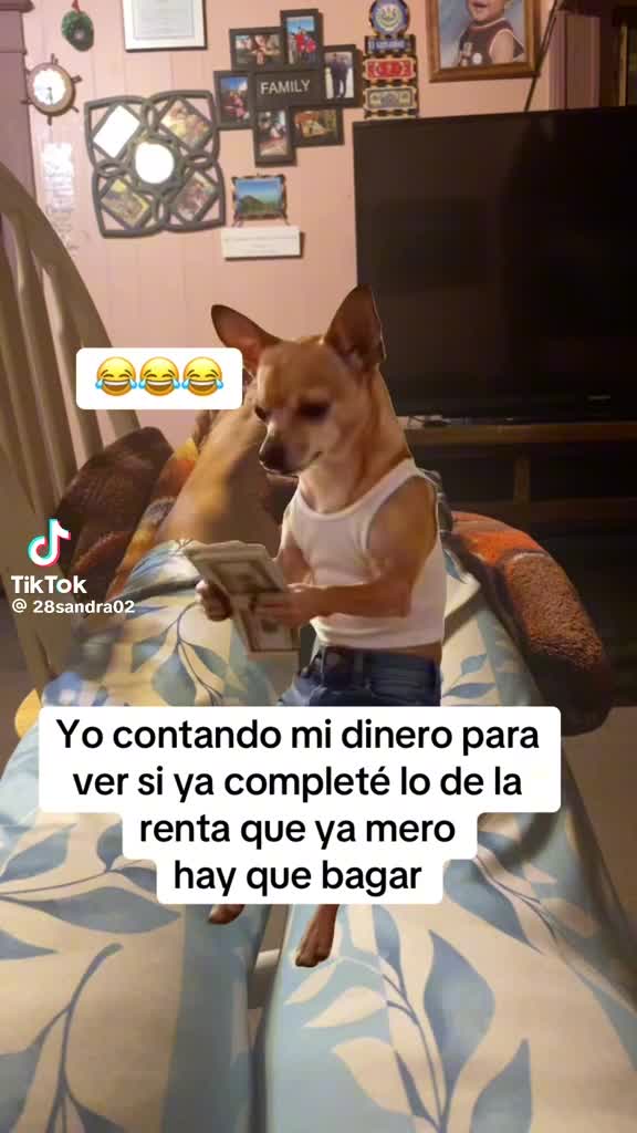 @Nene503