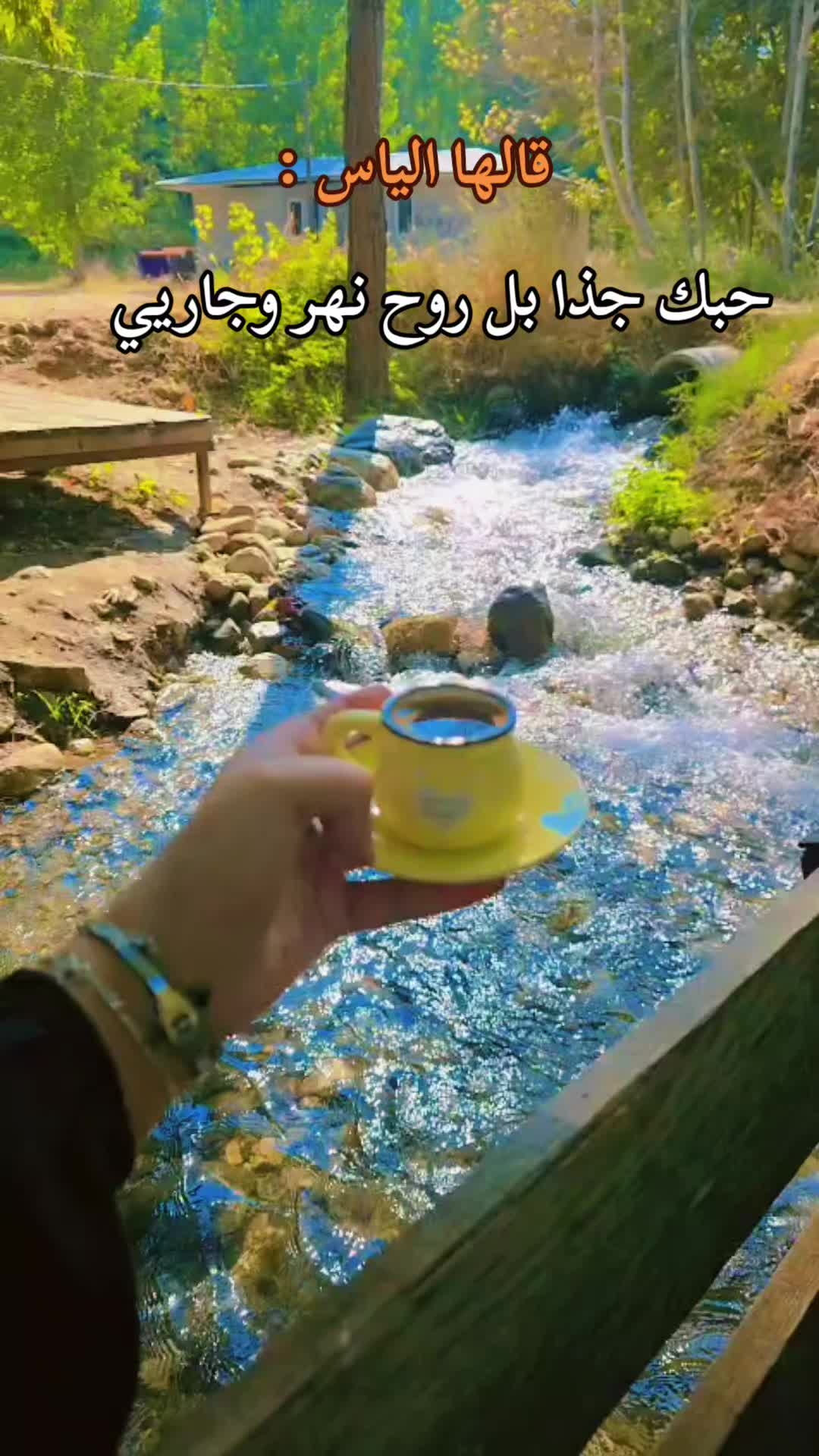 @ۅꪆتـيـن 🔥ولـحرب