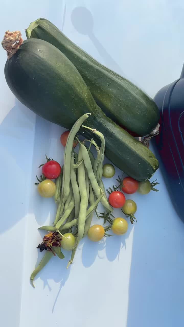 @greengirlgardens