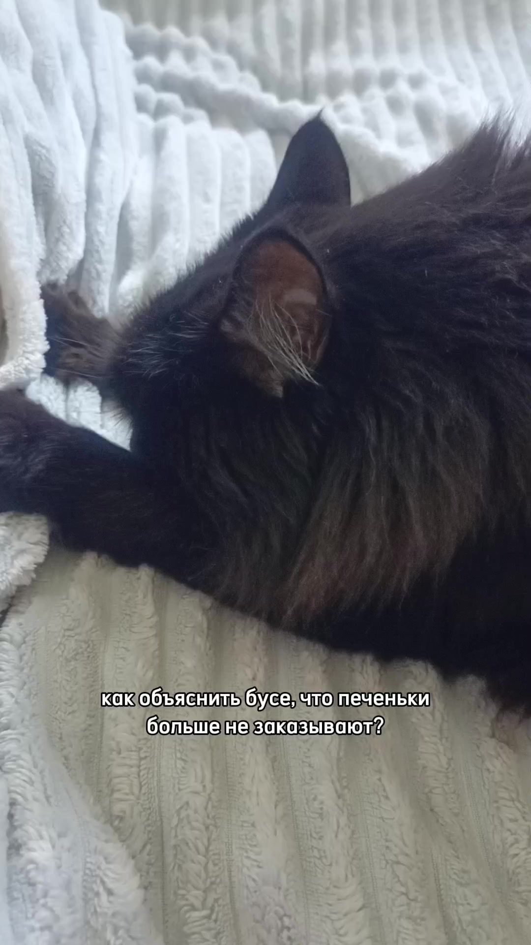 @анья блин!