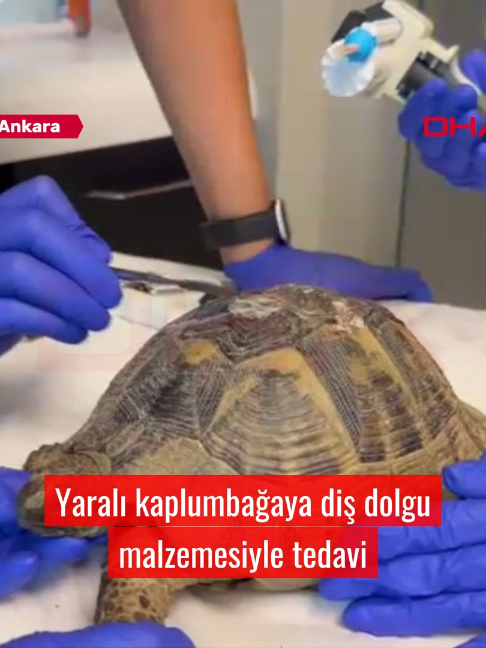 @Demirören Haber Ajansı