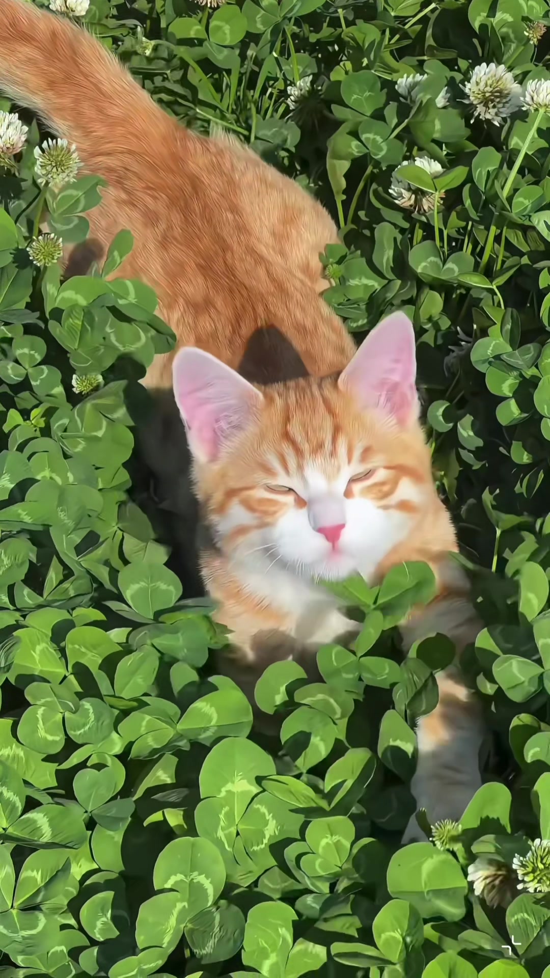 @My Daily Dose of Aww