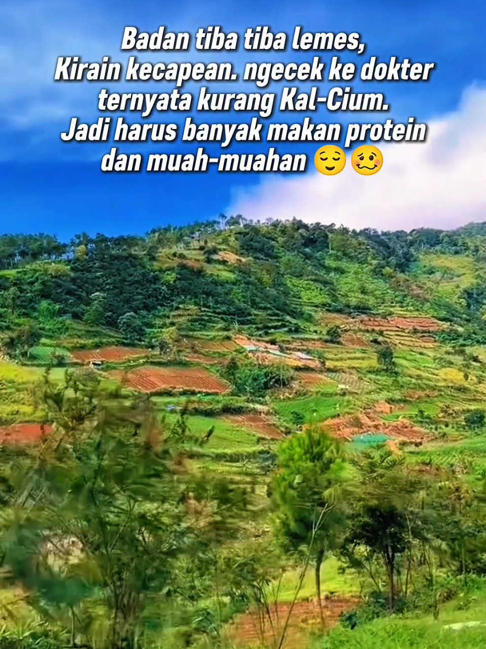 @Zen Nekad