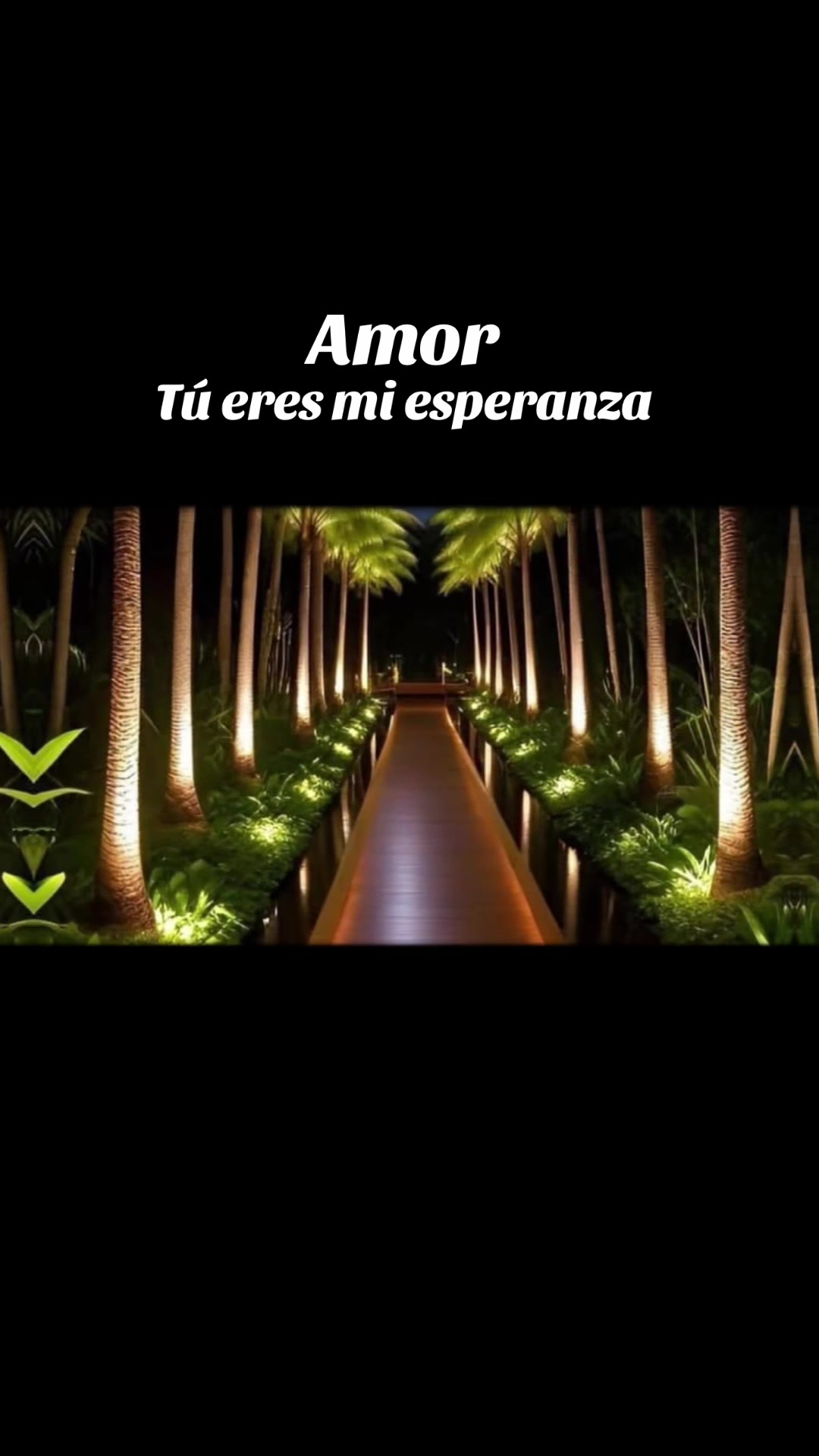@🇭🇳🇺🇸TU CONCENTIDA🇺🇸🇭🇳