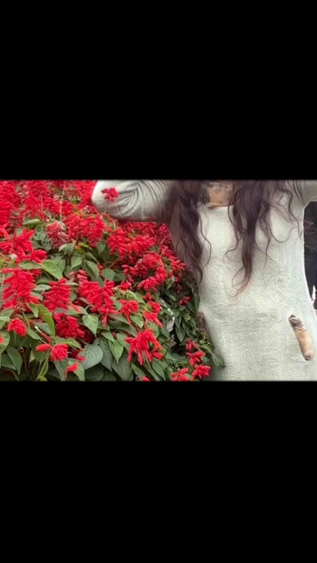 @kgurjeet3