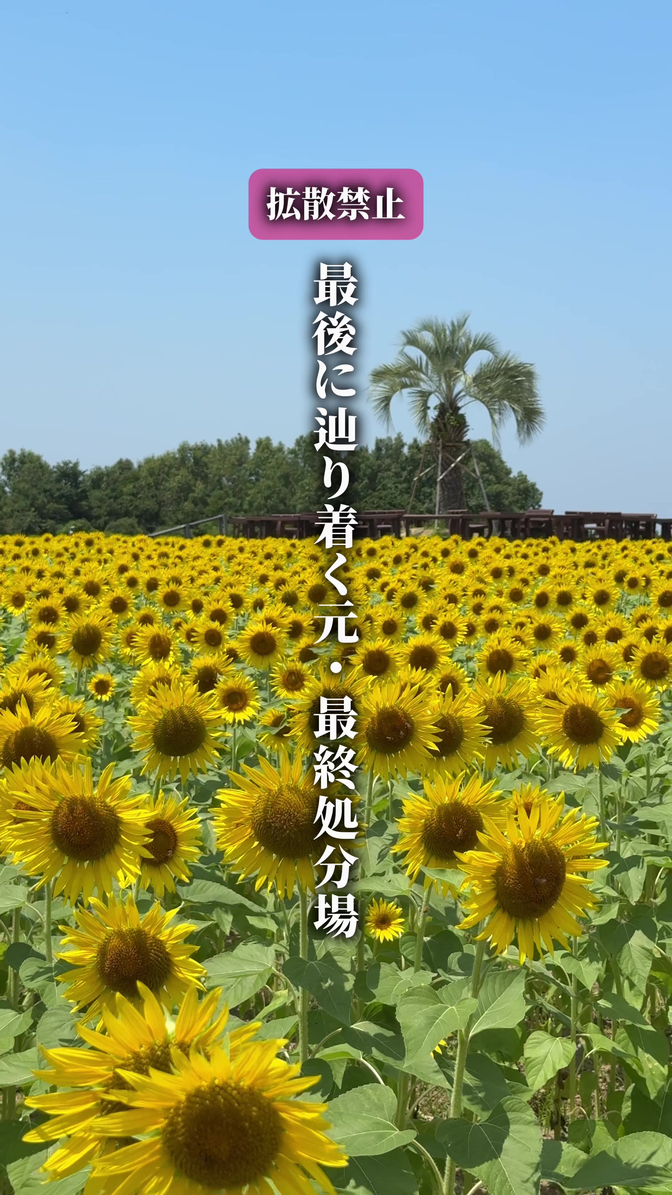 @ひろと / 大阪発!関西トレンド独占旅🔥