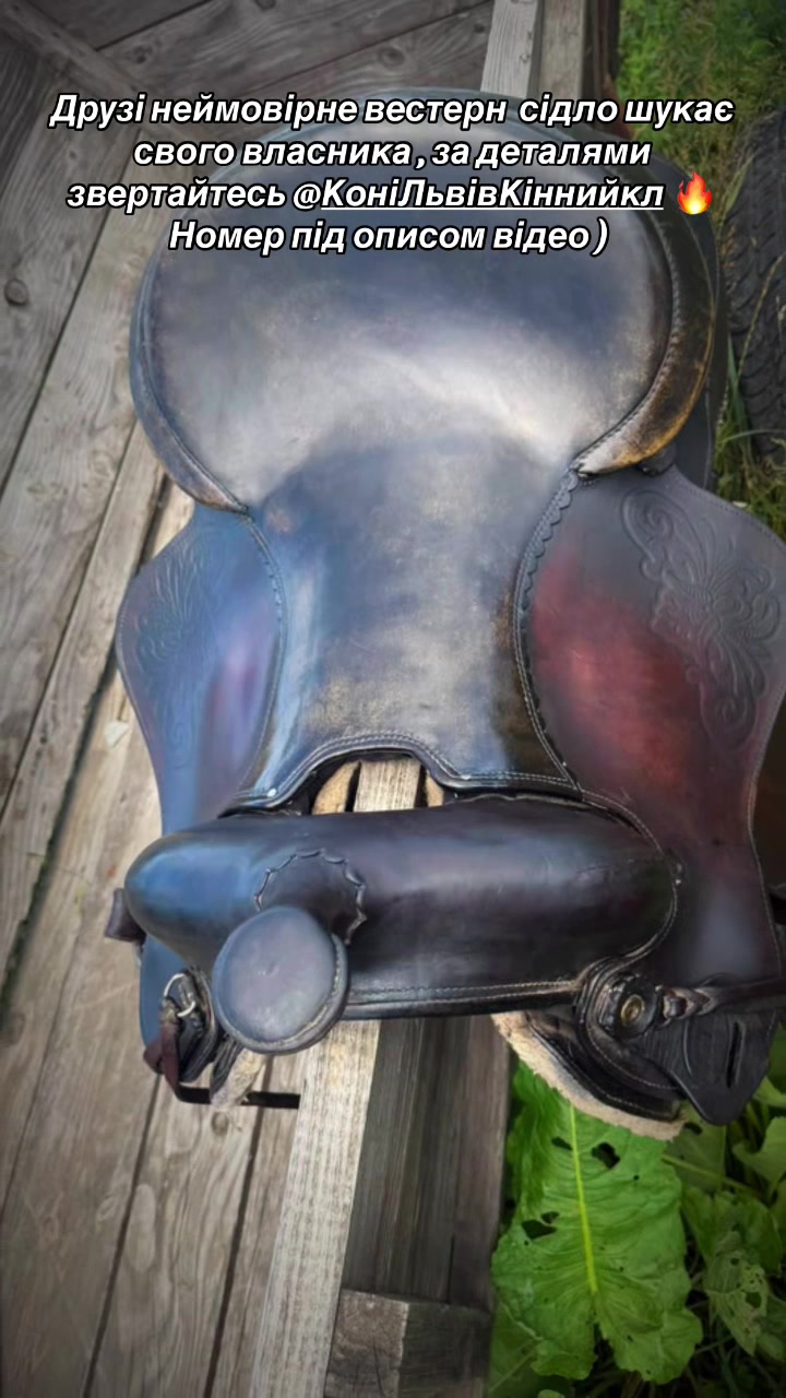 @_horses_farm_syrosh_