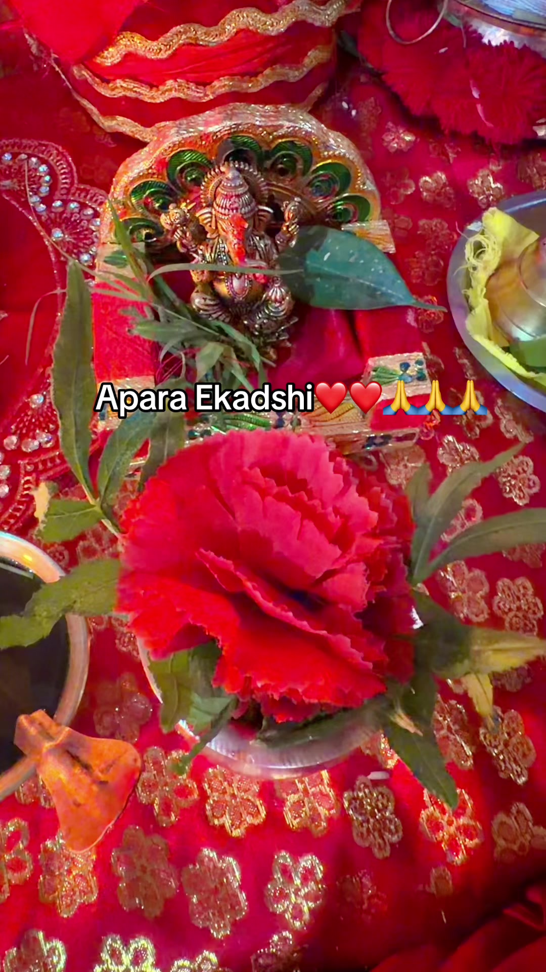 @sitashmathapa8माहालक्ष्मीघूप