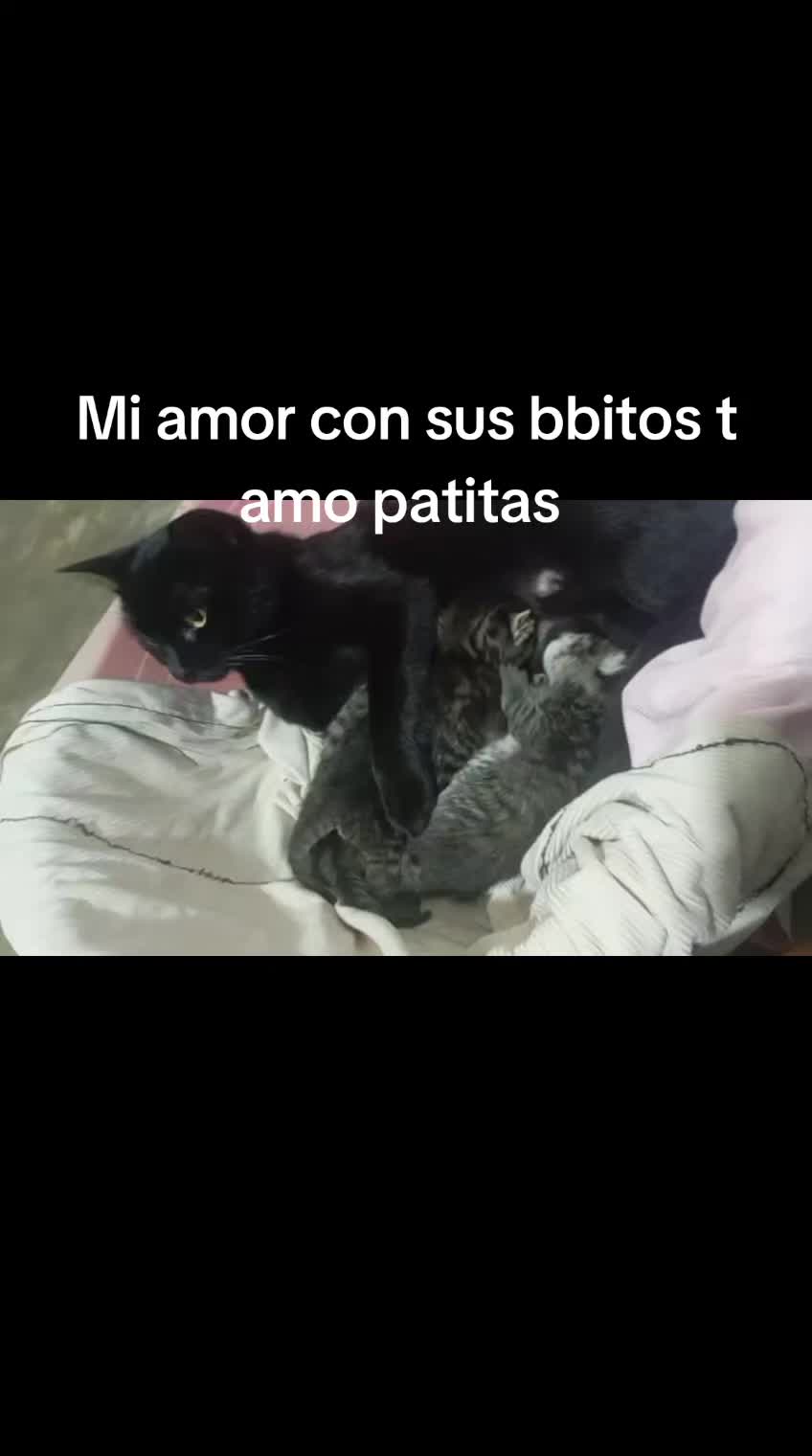 @Morena
