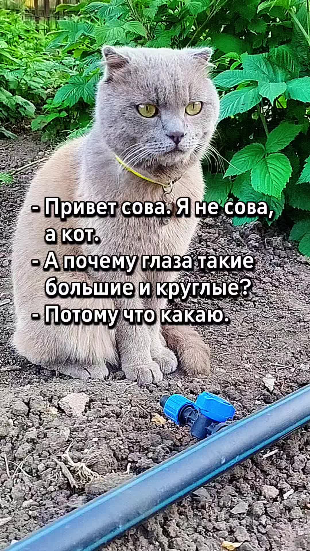 @🐈Масик&Андрей🥰