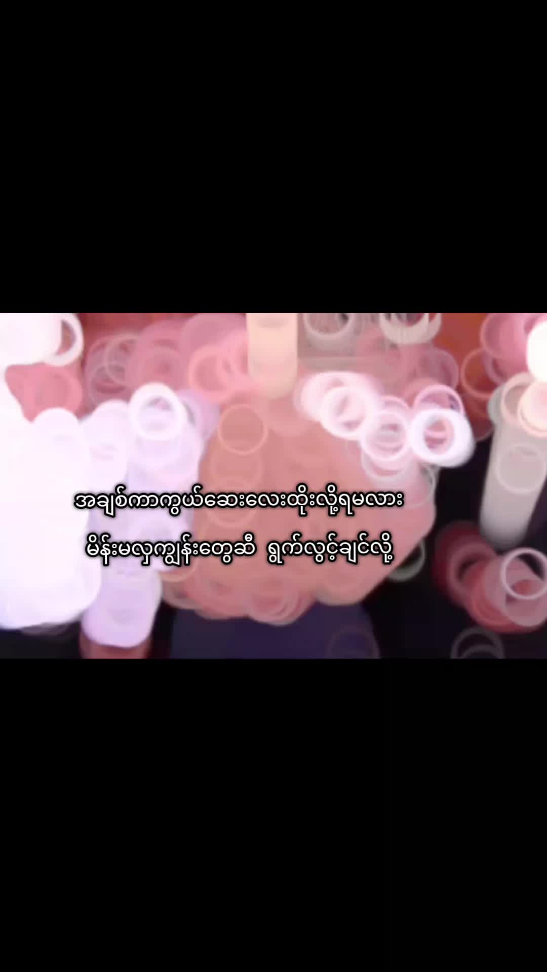 @BERMITOM
