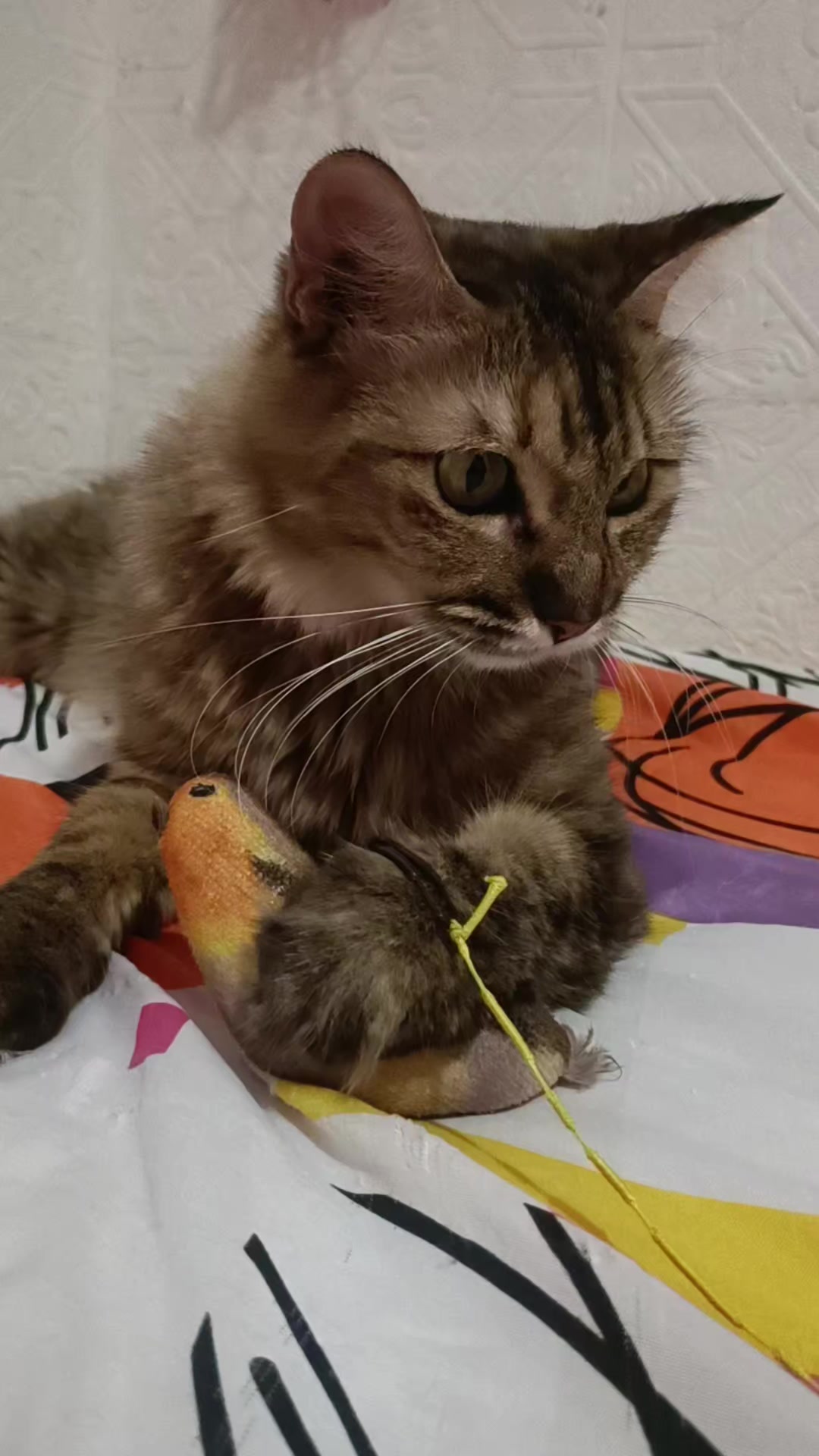 @negrita y peluche
