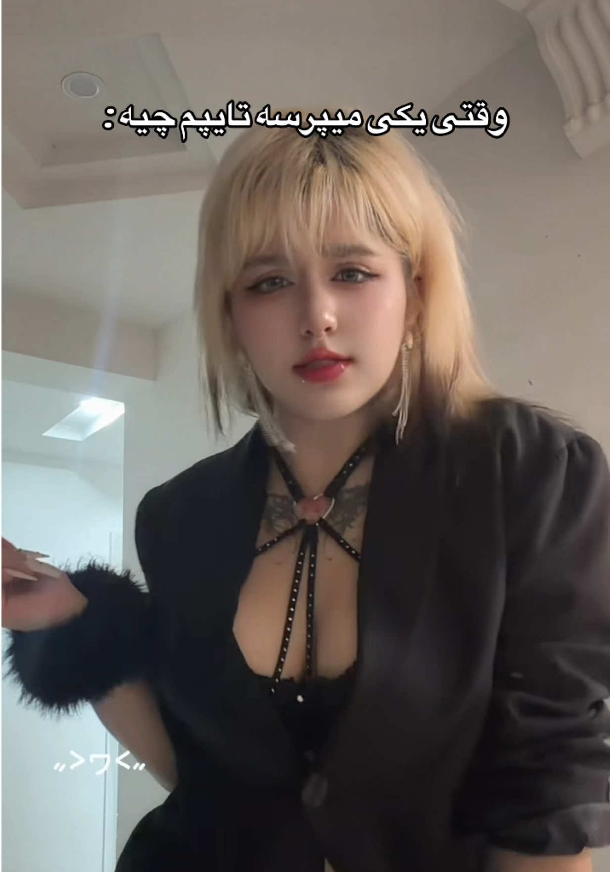 @Calico 카리코 🐈⬛