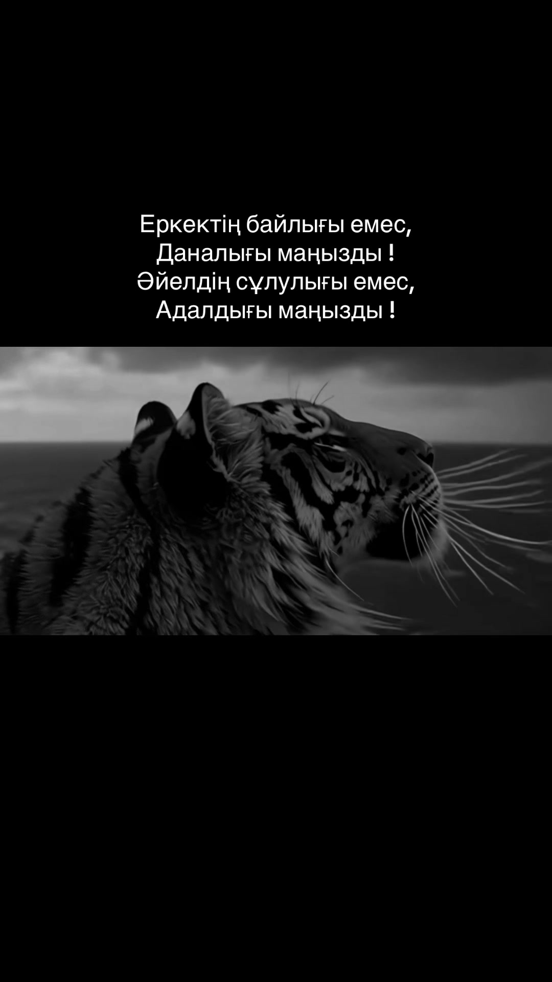 @zeroo_0011