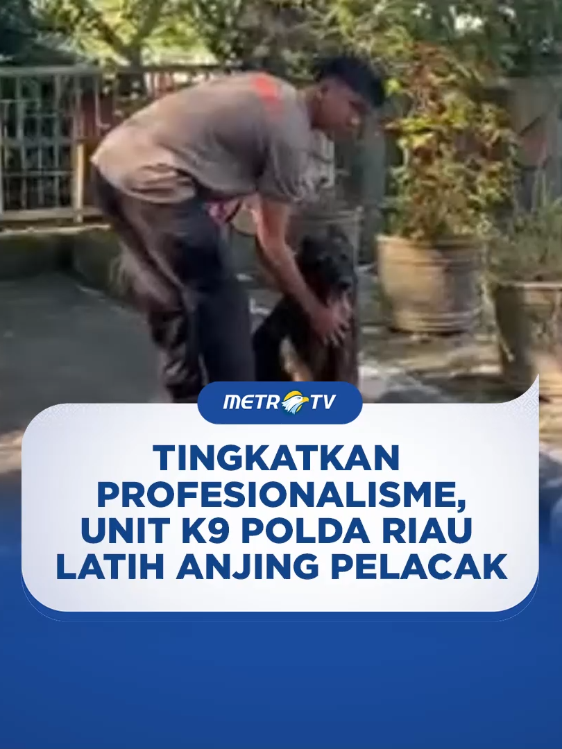 @Metro TV