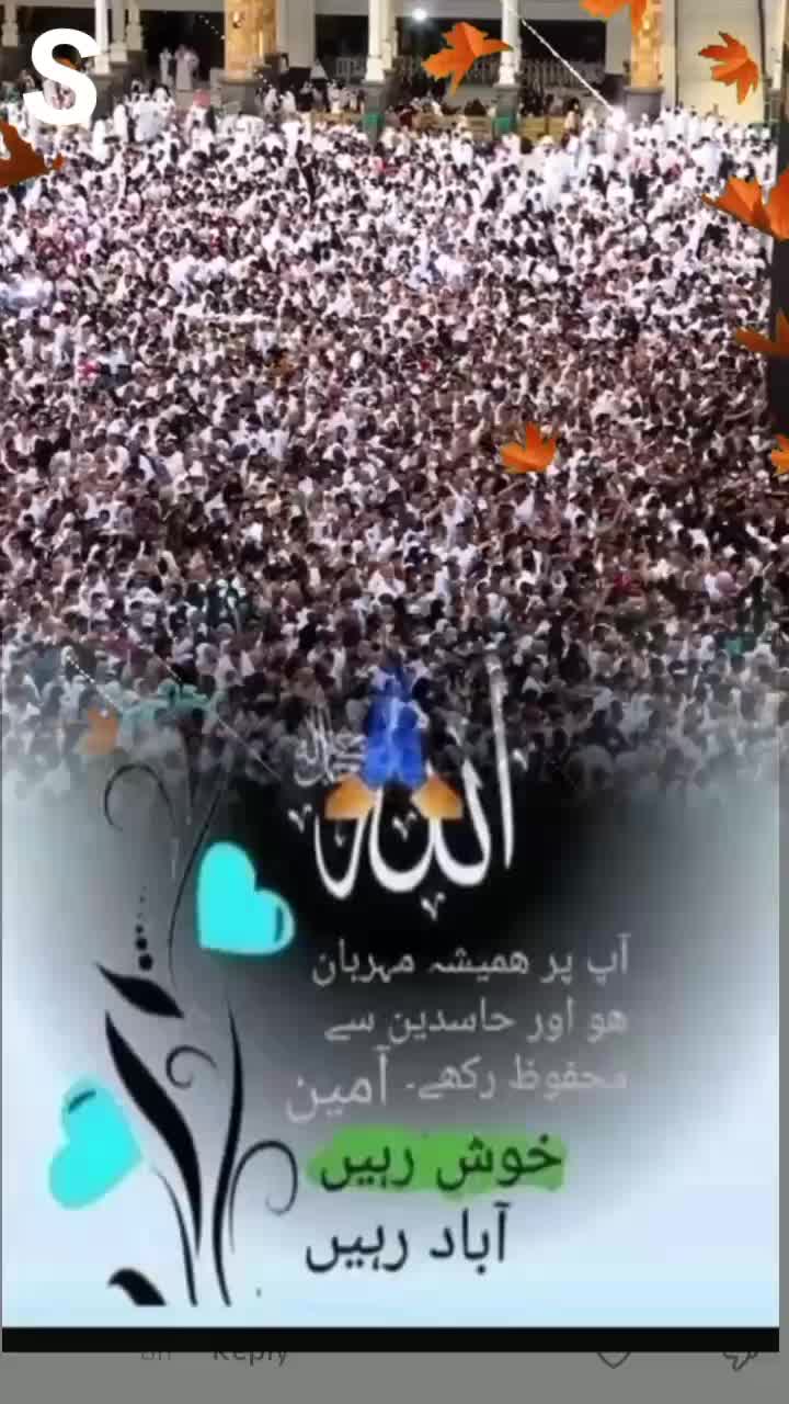 @binty_hawa