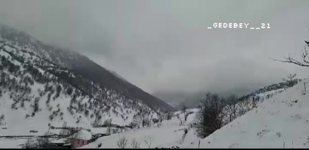 @_gedebey__21