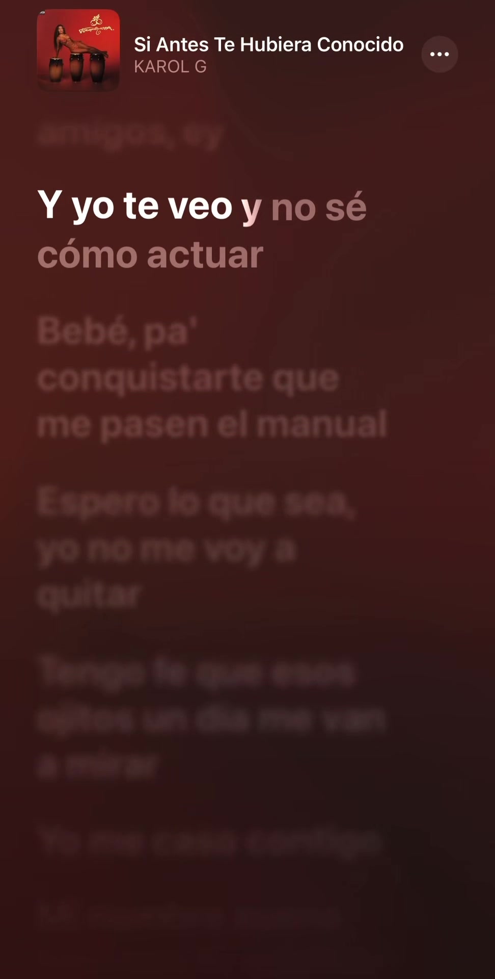 @Perreo en Letra 🔥