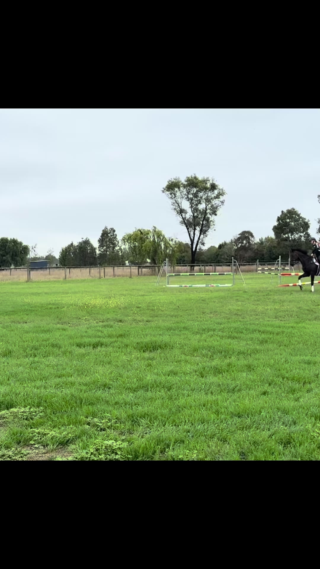 @skye.oequestrian38