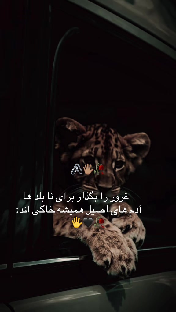 @𓆩•.M4sror07.•𓆪