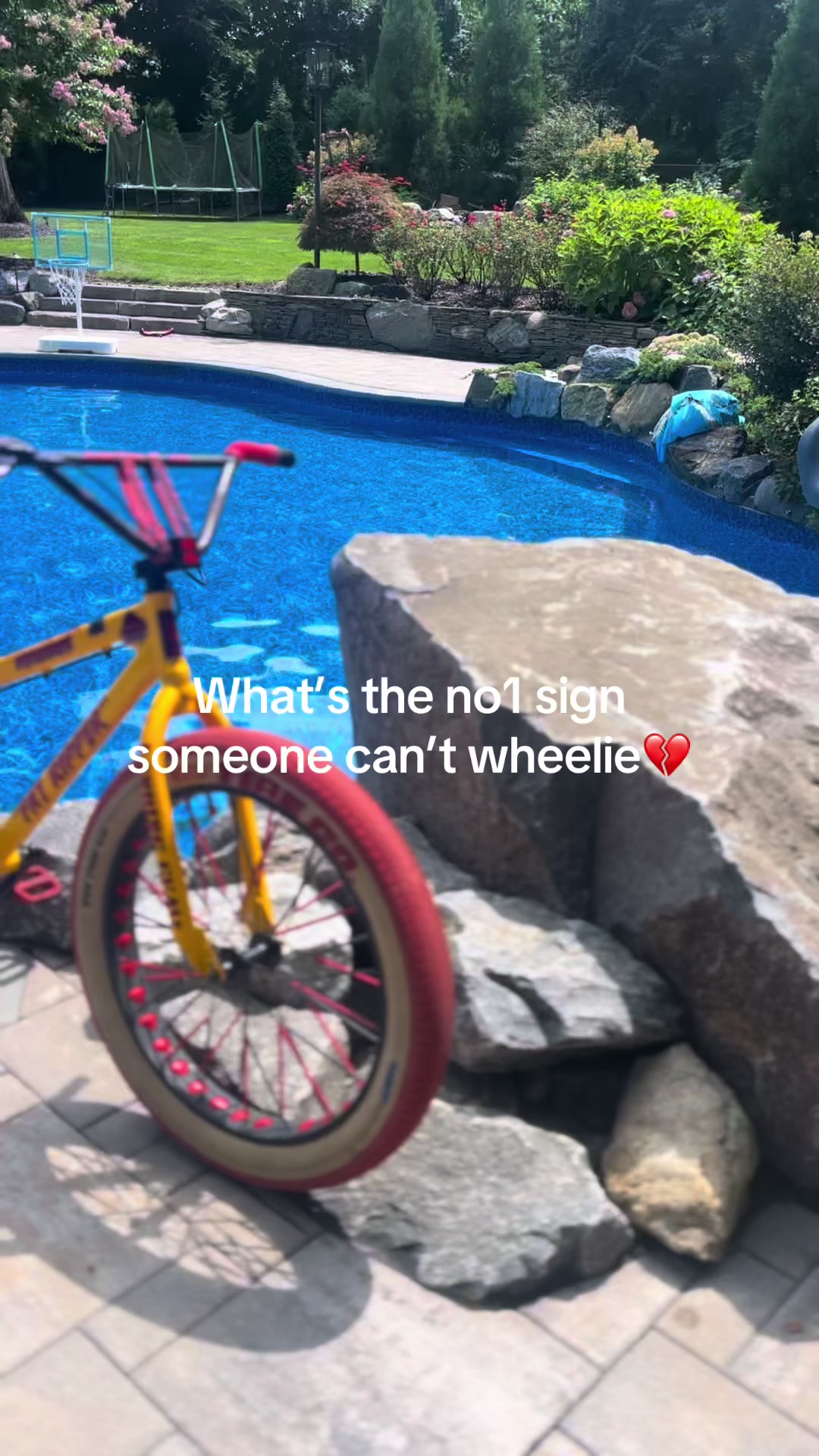 @OneWheel_Dxvid👽