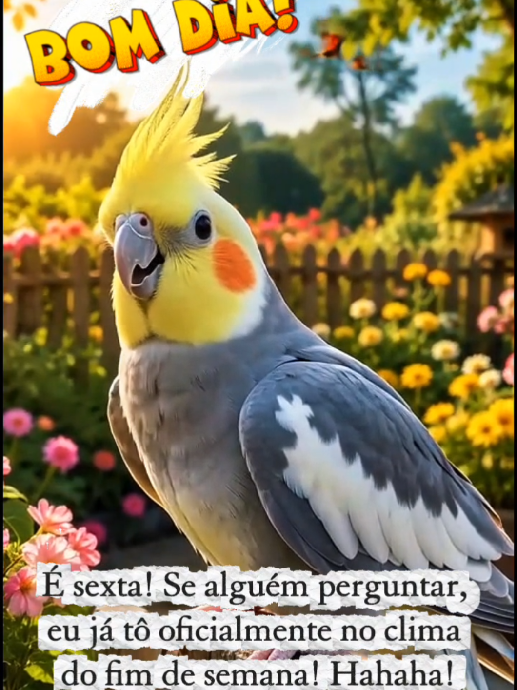 @Claudia Barros IA