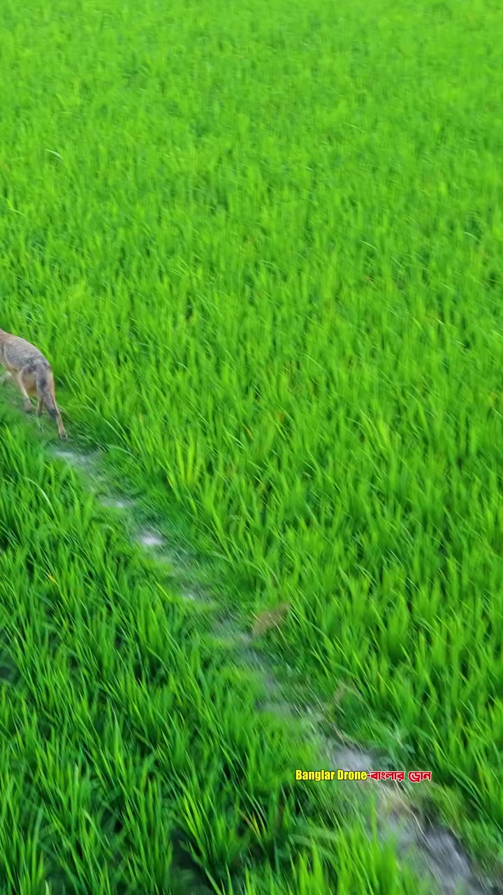 @🇦 🇯 🇦 🇾 🇸 🇦 🇭 🇦 🇳 🇮
