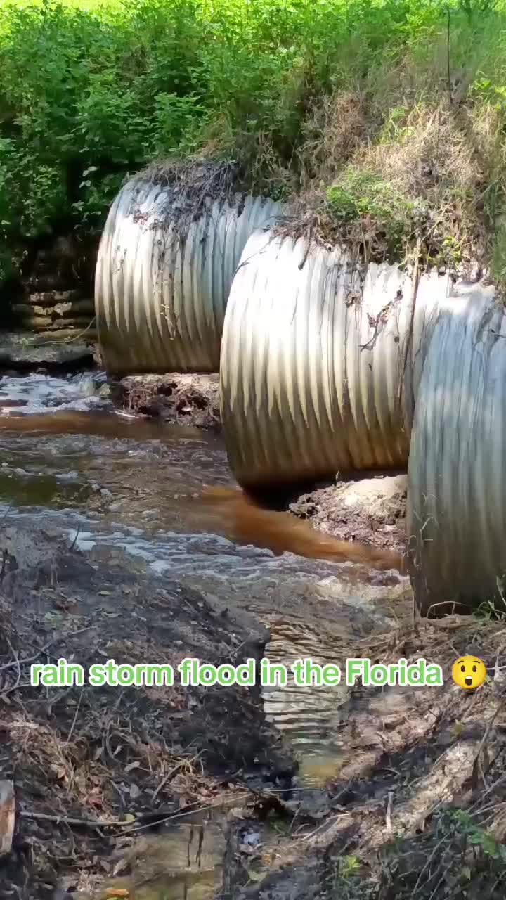 @Antonio Tropical Green Tornado