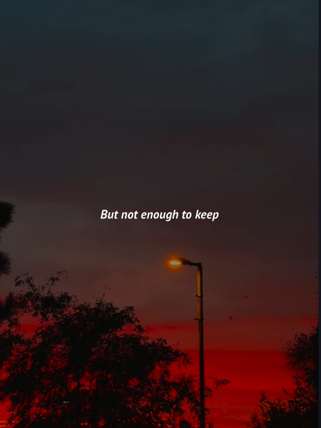 @Owl