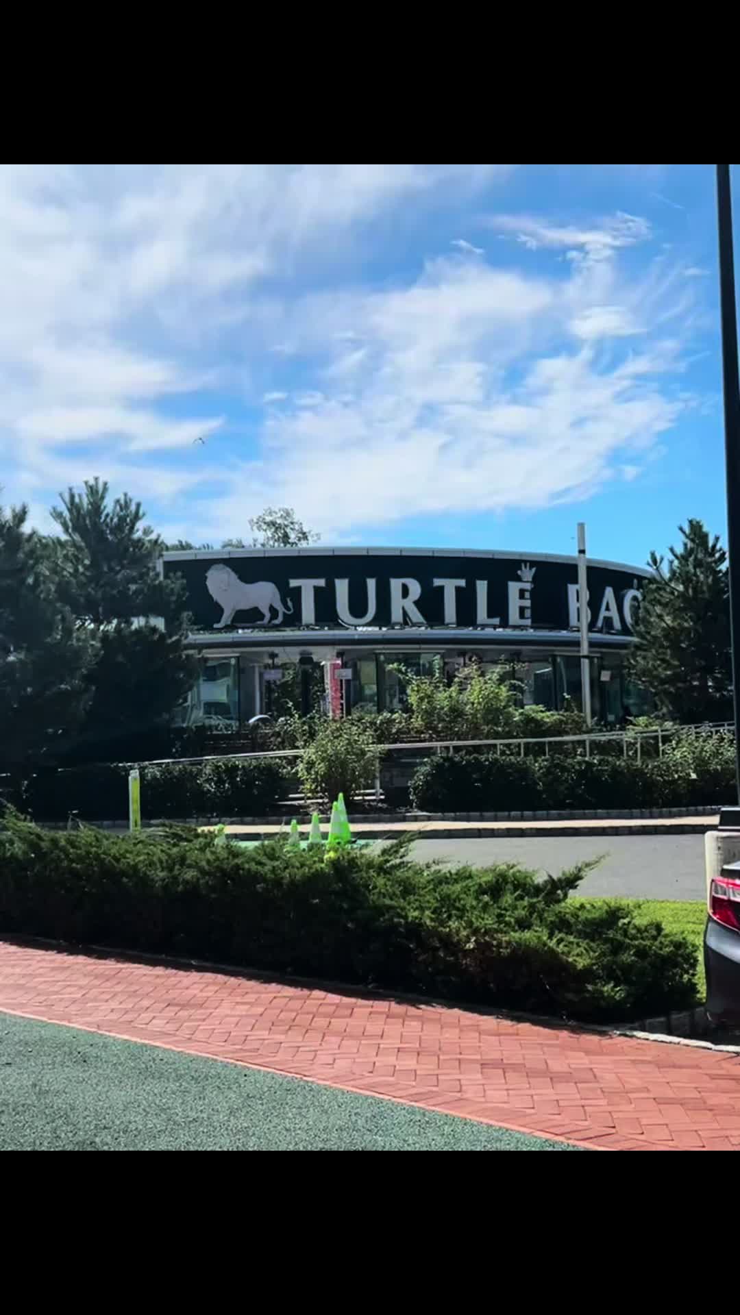 @jojo&hearts;️autism💚garden💙dogmom