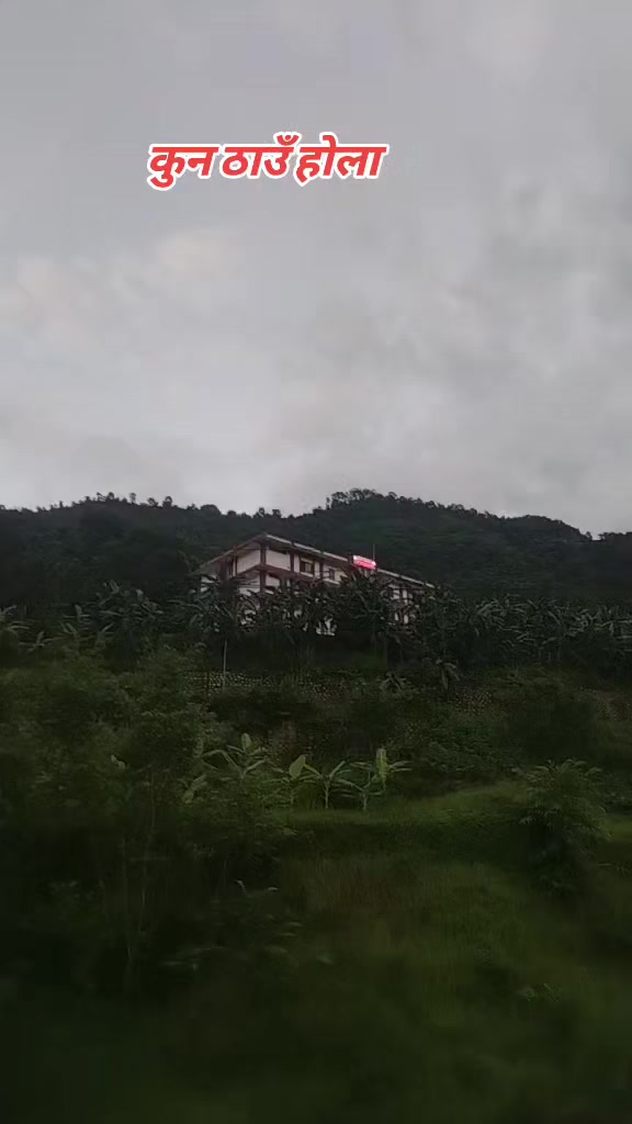 @चिम्से म पाल्पाली