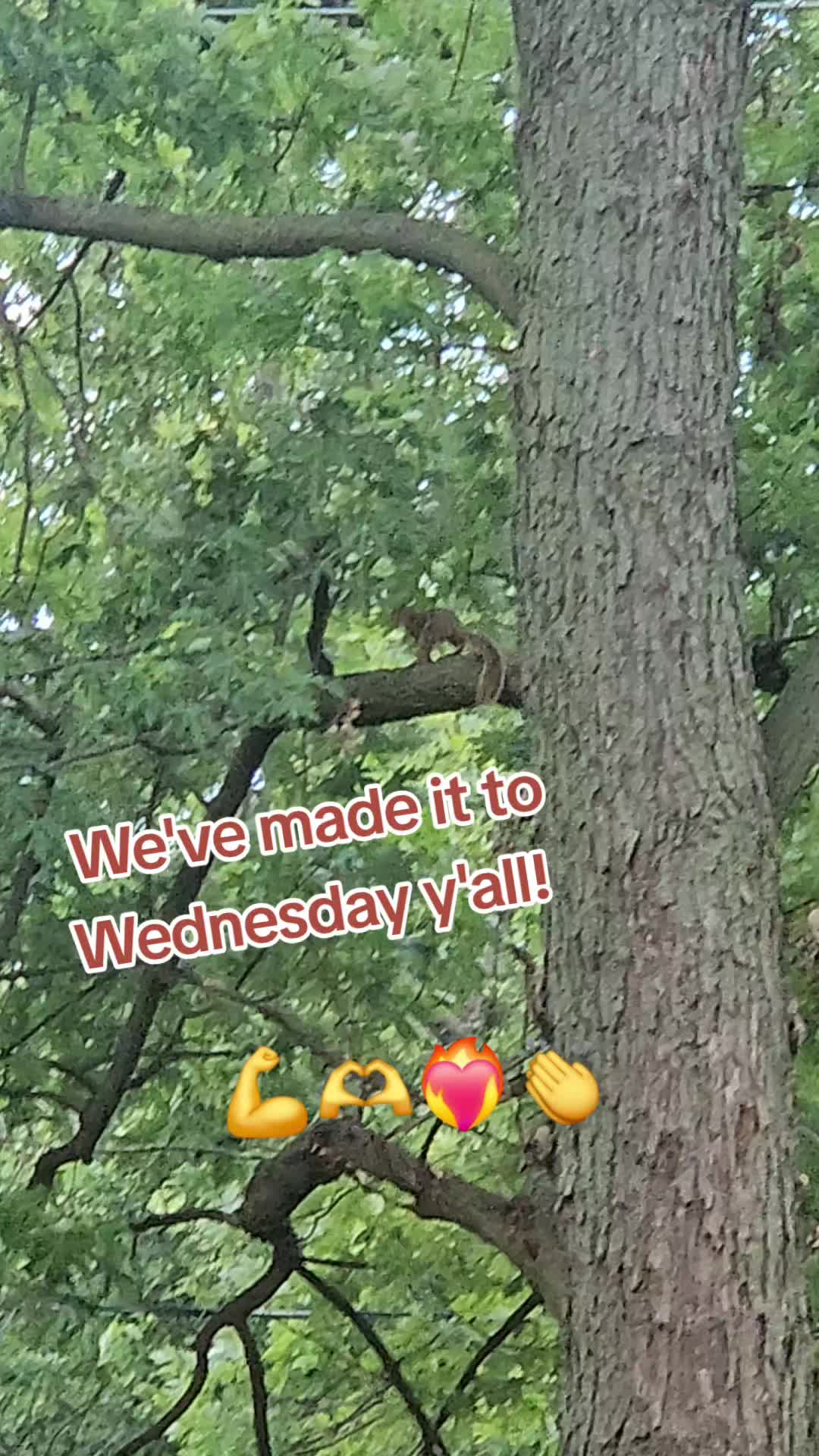 @IronMom42