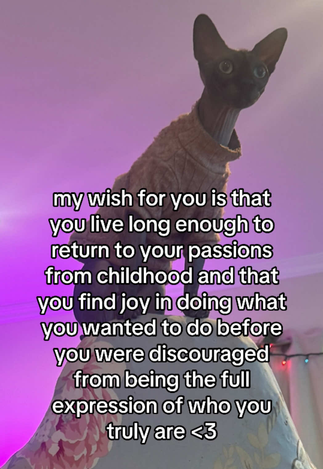 @luvsikgrl