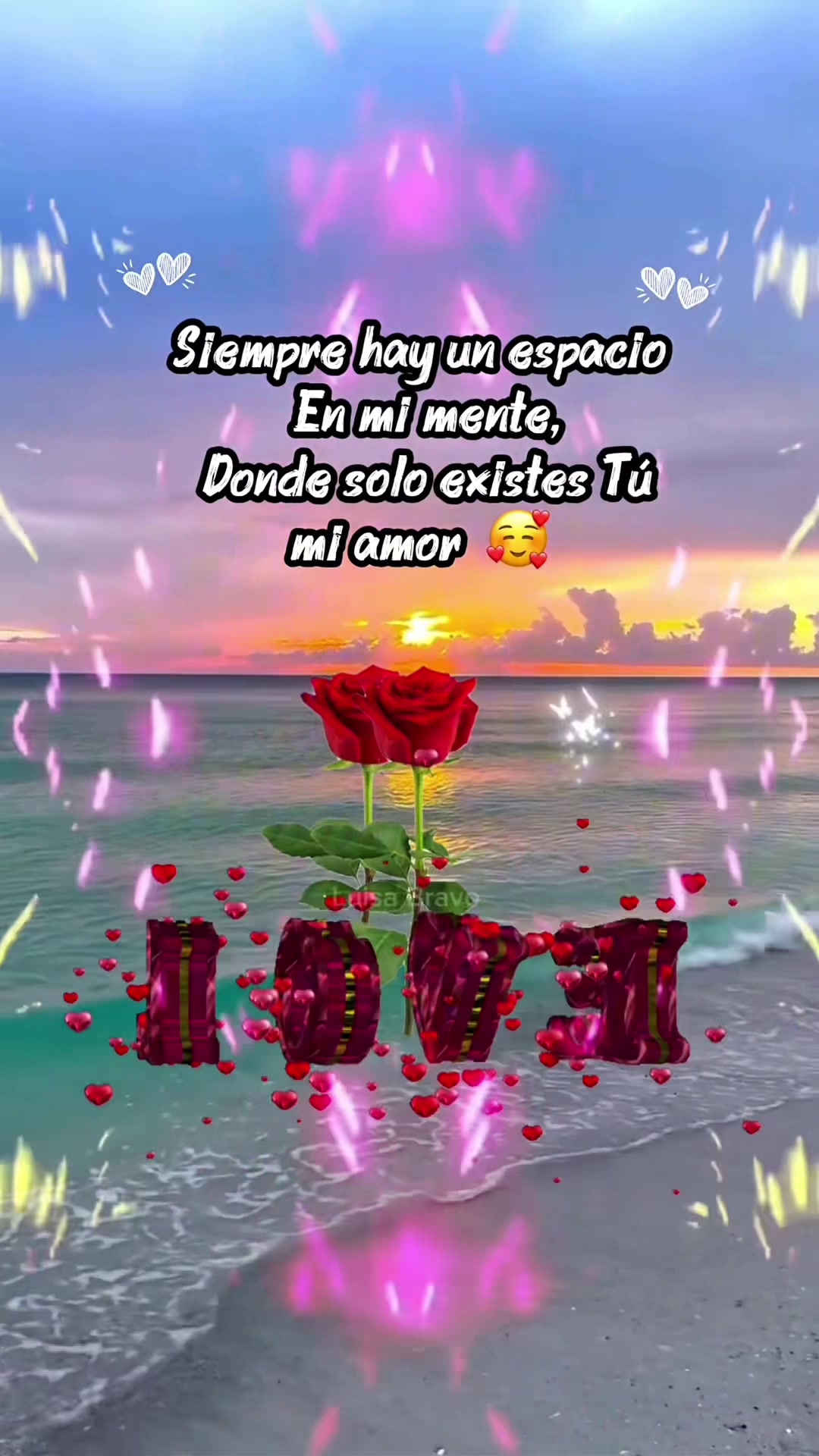 @bravo_luisa