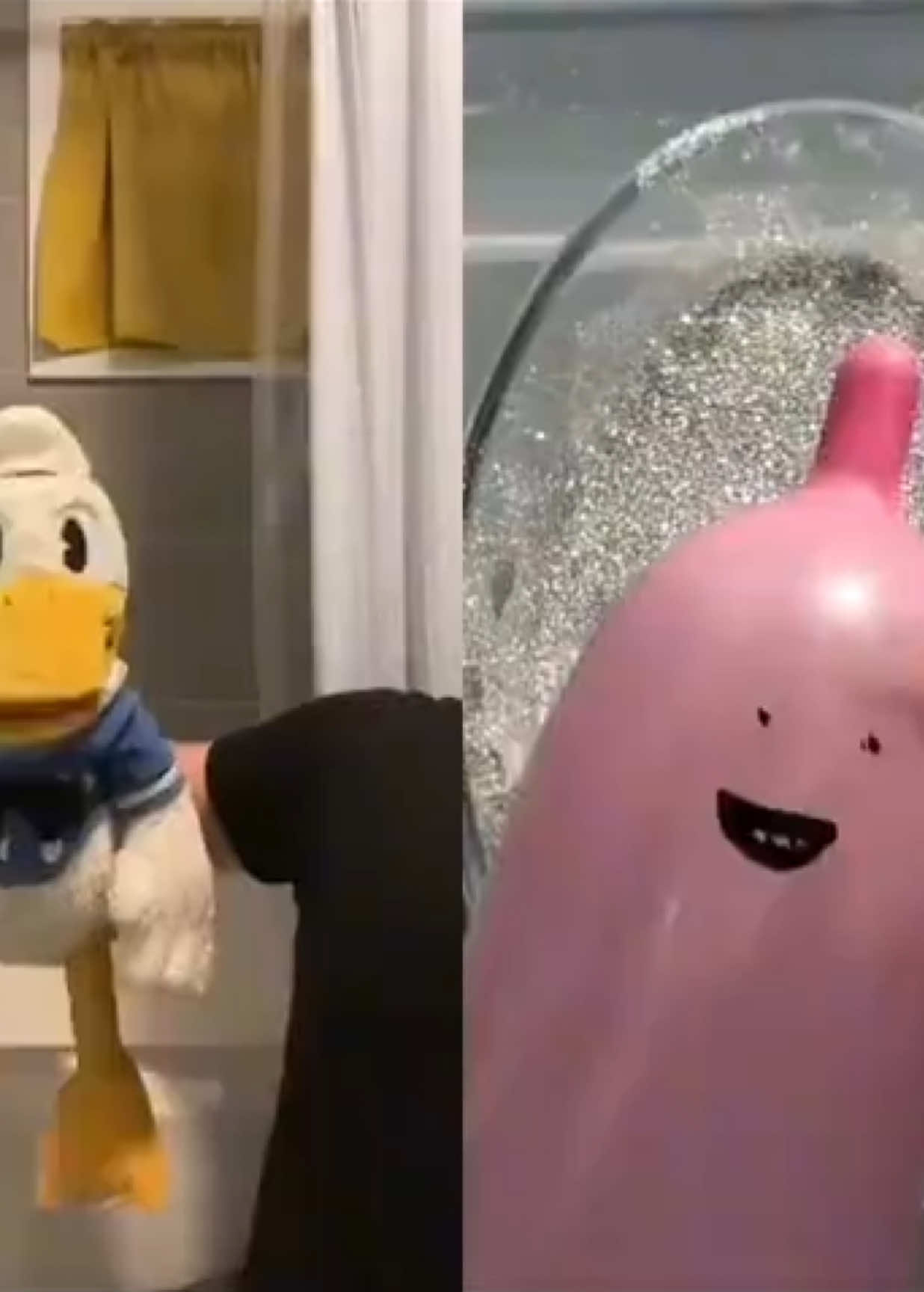 @donaldducc