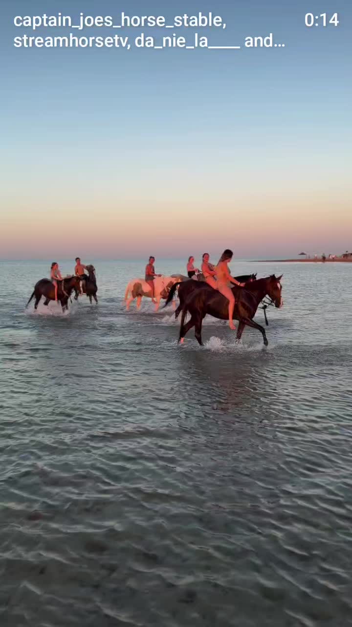 @streamhorse