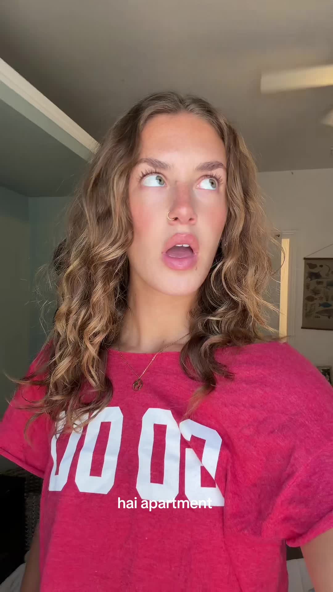 @lalaloopsir