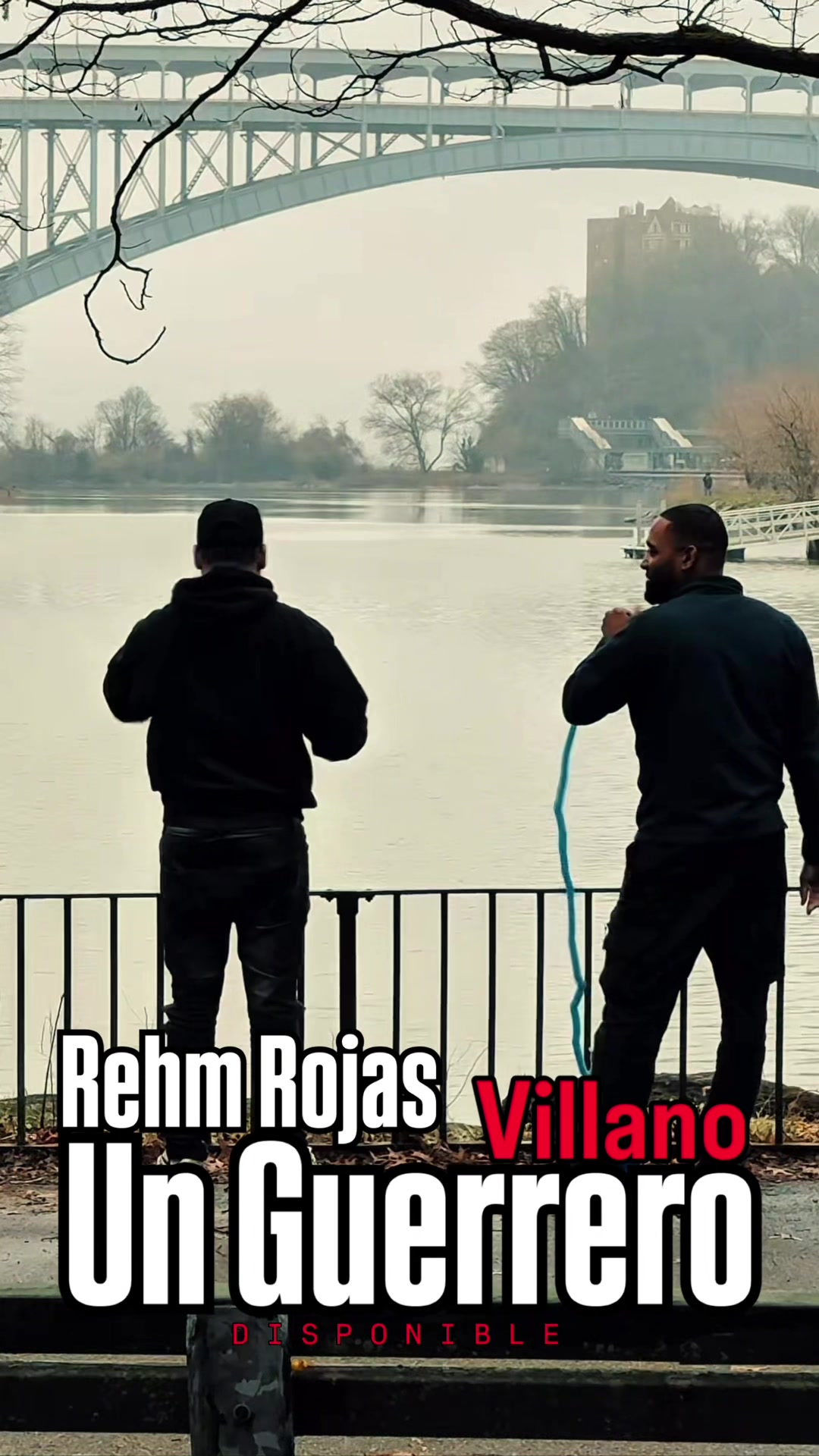 @Rehm Rojas