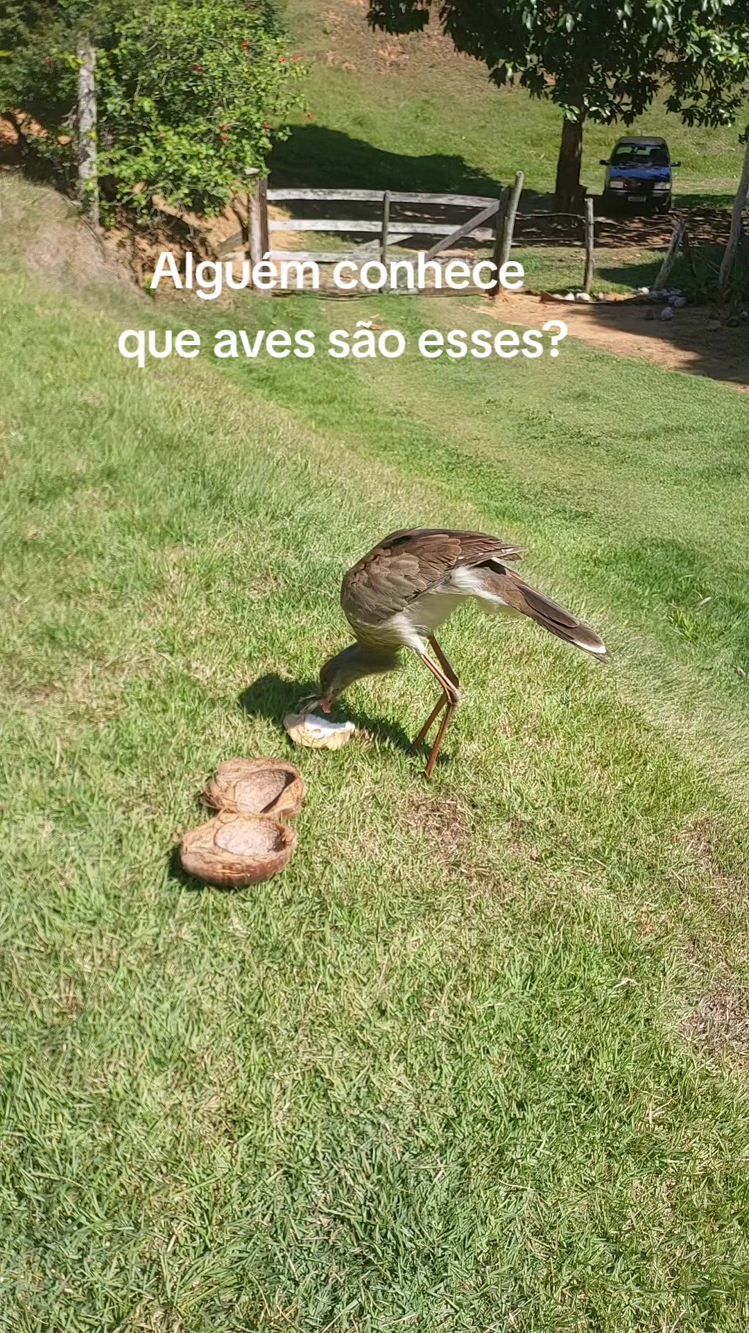 @Carla Santos