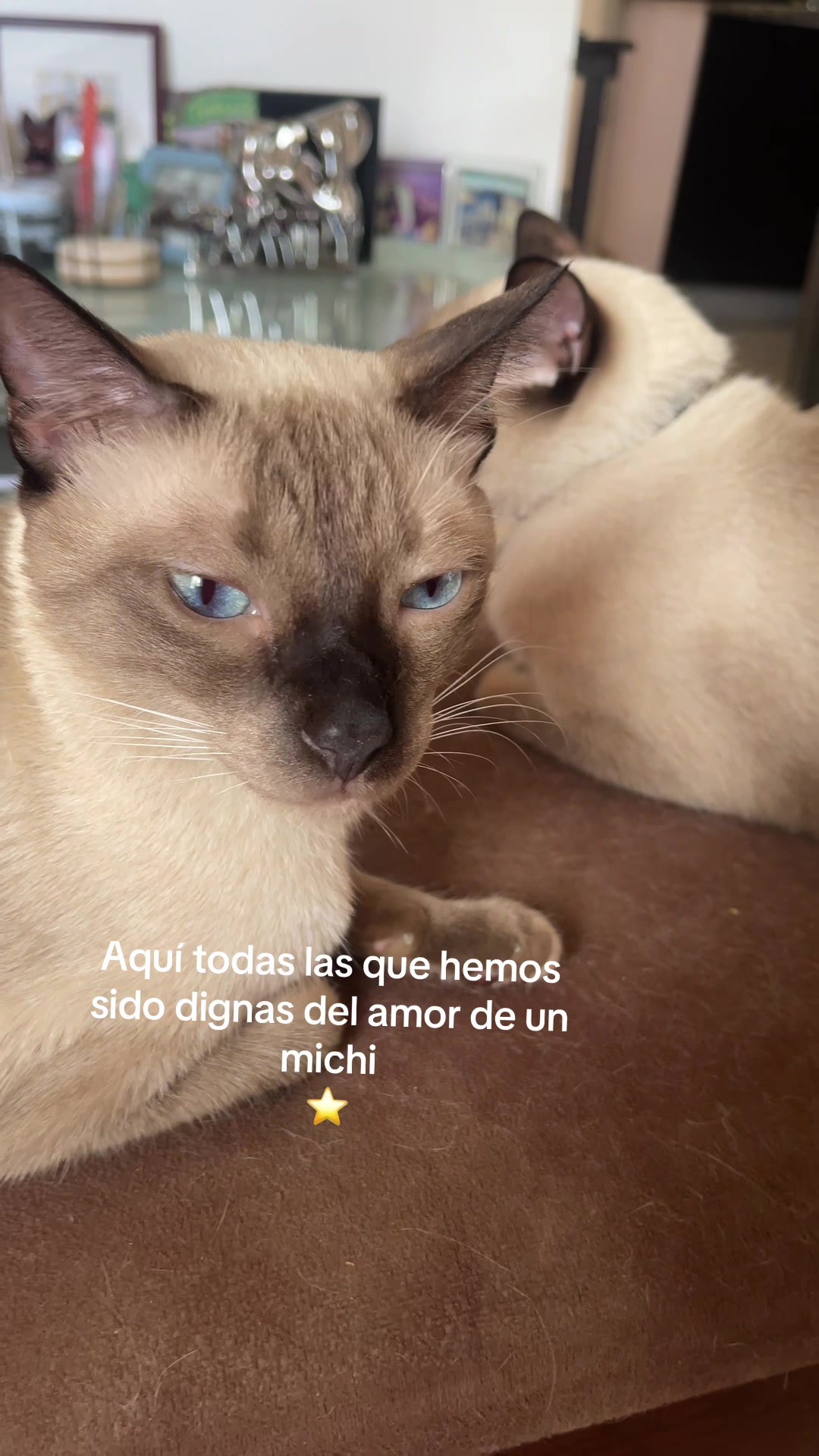 @Hermanitos siameses