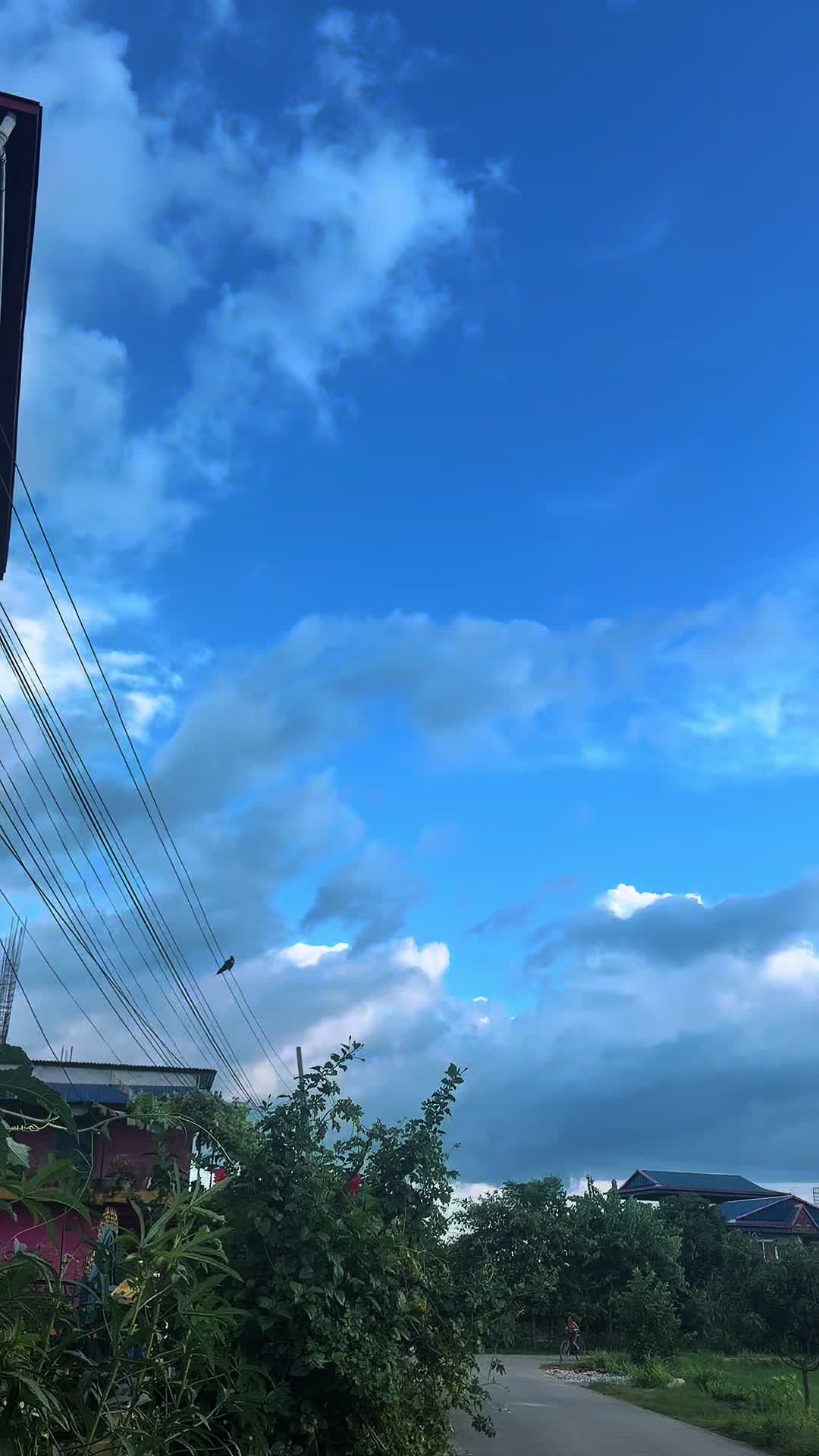 @N A I J O